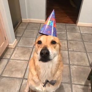 Meet your Posher, Shannon